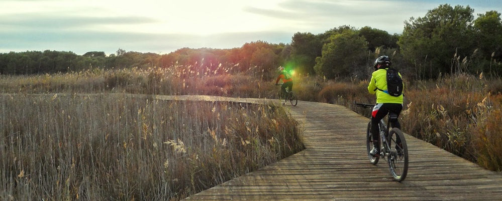 Una ruta en bicicleta por la huerta Valenciana